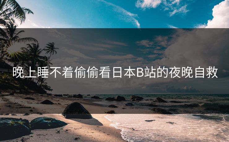 晚上睡不着偷偷看日本B站的夜晚自救