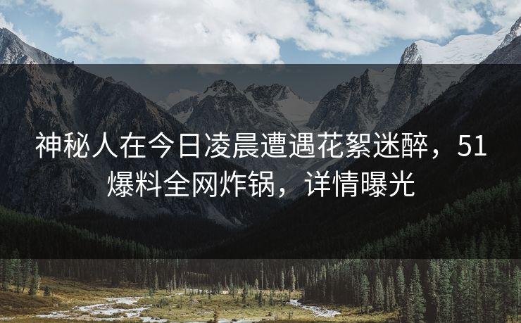 神秘人在今日凌晨遭遇花絮迷醉，51爆料全网炸锅，详情曝光