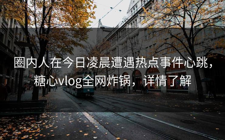 圈内人在今日凌晨遭遇热点事件心跳,糖心vlog全网炸锅,详情了解